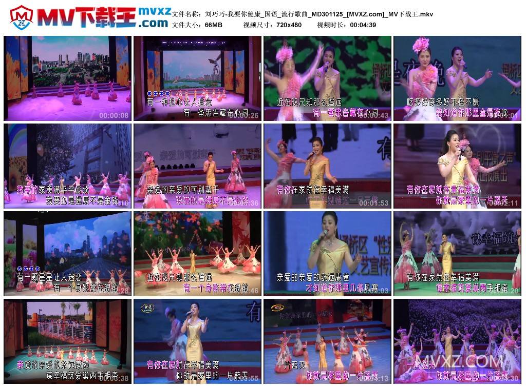 刘巧巧-我要你健康_国语_流行歌曲_MD301125